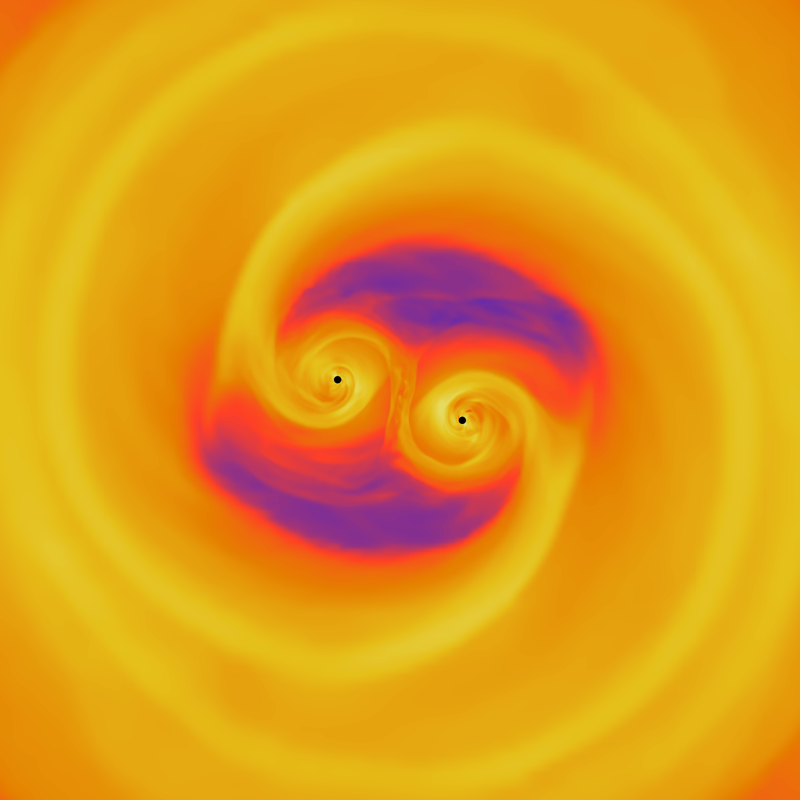 Binary Black Hole